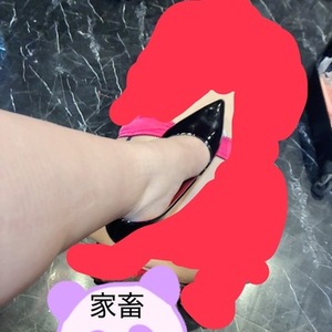 ビンタ・踏みつけ・家畜プレイ