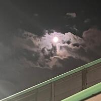 十三夜