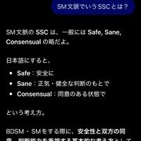 SMの概念