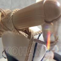 先輩女王様のOL調教