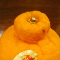 ありがとうございました