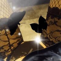 夜は…少しマシ