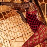 今日のご主人様は