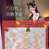 【11月出勤予定】
