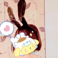 バニーの日