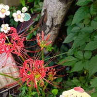 リクエストと出張につきまして