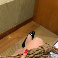ドライ日和