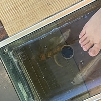 可哀想だけど…