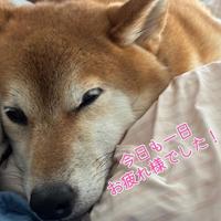 夜分遅くに失礼します！