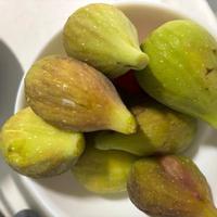 イチヂクは女性に嬉しい栄養がいっぱい