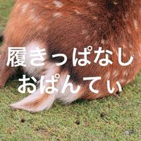 三日間履きっぱなしのおぱんてぃ…