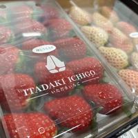 紅白いちご！！ご馳走様です