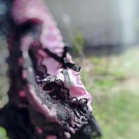 お礼日記作品もチェックしてくださってありがとうございます