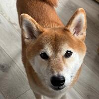 写真より実物派のあなたへ