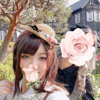 今日はお花見