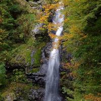 聖水で身体を清める。