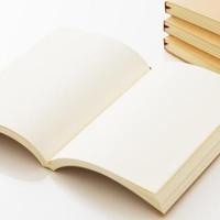 年末の超大作ストーリープレイ、聖音はネクロフィリア