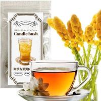 キャンドルブッシュが鳴いている