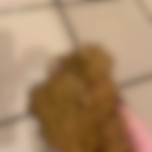 両乳首強くいじられ、大量飲尿、便器口にうんこ出されたい