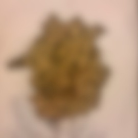 大量聖水ぶっかけ、大量飲尿、大量うんこを体に出されたい