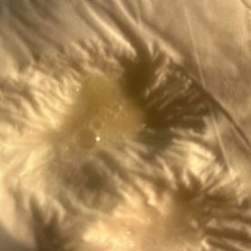 太陽の光に当たった朝1の痰🩷🩷🩷笑笑