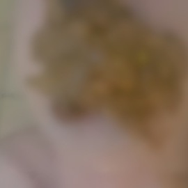 無理矢理臭い匂いを嗅がされ、便器になって興奮したい