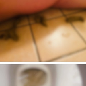 乳首いじられ、ペニバンでいじられ、大量聖水と大量黄金に興奮