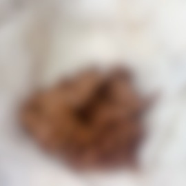 大量聖水とおならを見て、お互いの排便姿を見て興奮したい