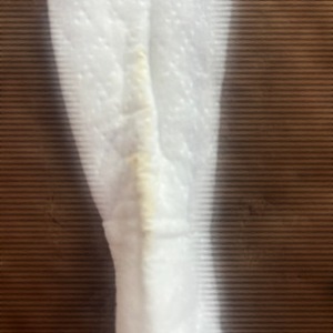 汚れたオリシー🩷来週のお知らせ(≧∀≦)🩷