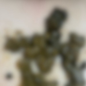 大量聖水で汚れた靴下、大量飲尿、大量黄金を食糞して塗られたい