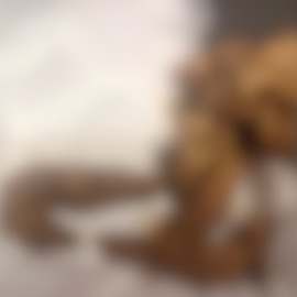 臭い匂いと極部の匂い嗅いで舐め掃除、大量聖水と大量黄金に興奮