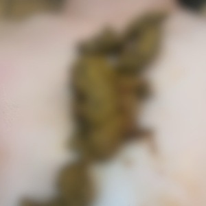 大量聖水と飲尿、大量黄金出てくるところを間近で見て興奮したい