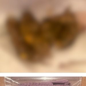 全身の臭い匂いを嗅ぎ続けて、大量聖水と大量黄金に興奮したい