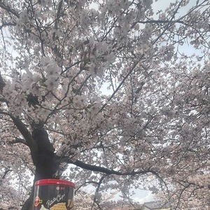 今月も爆裂ありがとうございます！！(*≧∀≦*)🩷🩷🩷