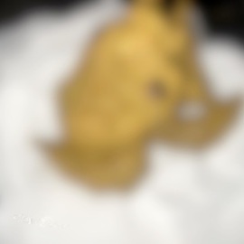 臭い下着とおなら、大量おしっことうんこに初めて興奮したい