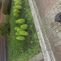 こんにちわ