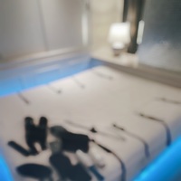 結束バンドがあったね