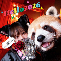 ✨Happy New Year✨