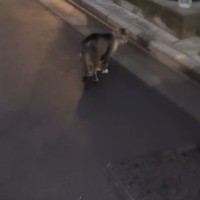 ( 'ω'o[定期:暑いときこそ ととのうかも]o