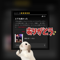 遊びに来てくれてありがと！