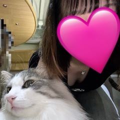 写真を遡っていたら猫カフェに行った時の写真みつけちゃいました