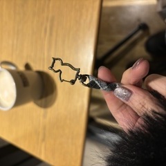 この前、お土産でとてもかわいいネコちゃんの⚪︎⚪︎をもらいま