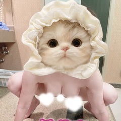 こないだはご主人様と3時間撮影しました♡  カエル姿の舞です