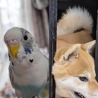 自慢の息子たち♡