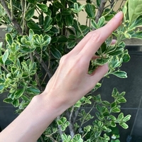 長いので奥まで