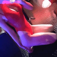 ハロウィン