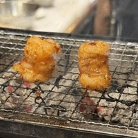 〇〇みたいな丸腸