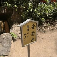 今をときめくスピ×エロ