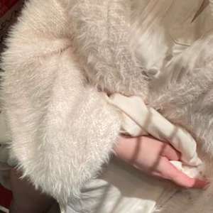 久しぶり！！今日から三連勤^_^