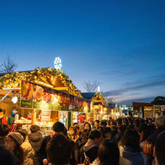 行きたぁーい！